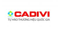 Nhóm dây cáp điện kế, điều khiển Cadivi DK-CVV, DVV, DVV/Sc ...